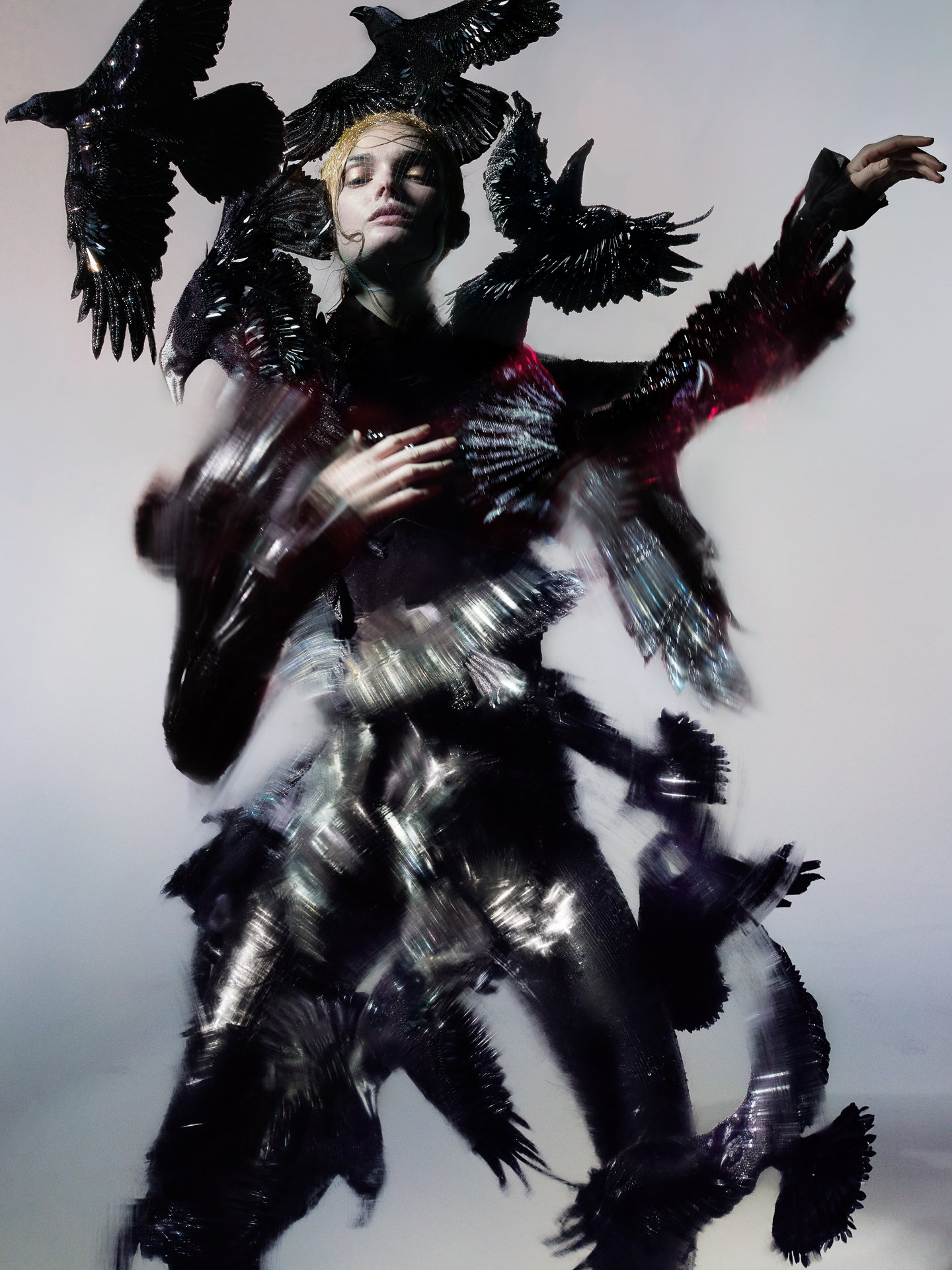 Editorial Gallery: Night Birds | SHOWstudio