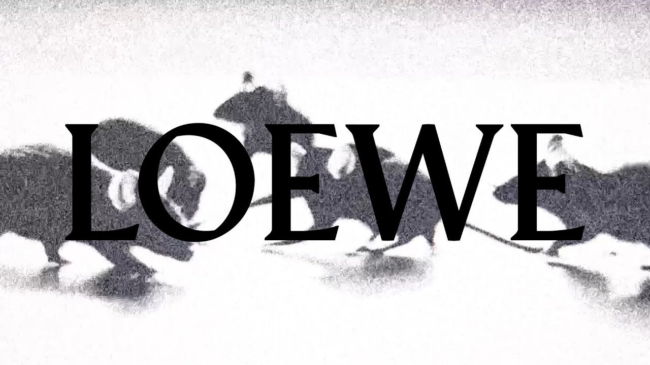 ラストチャンス【LOEWE】コットン ロゴプリント フーディ ラストチャンス【LOEWE】コットン ロゴプリント フーディ (LOEWE